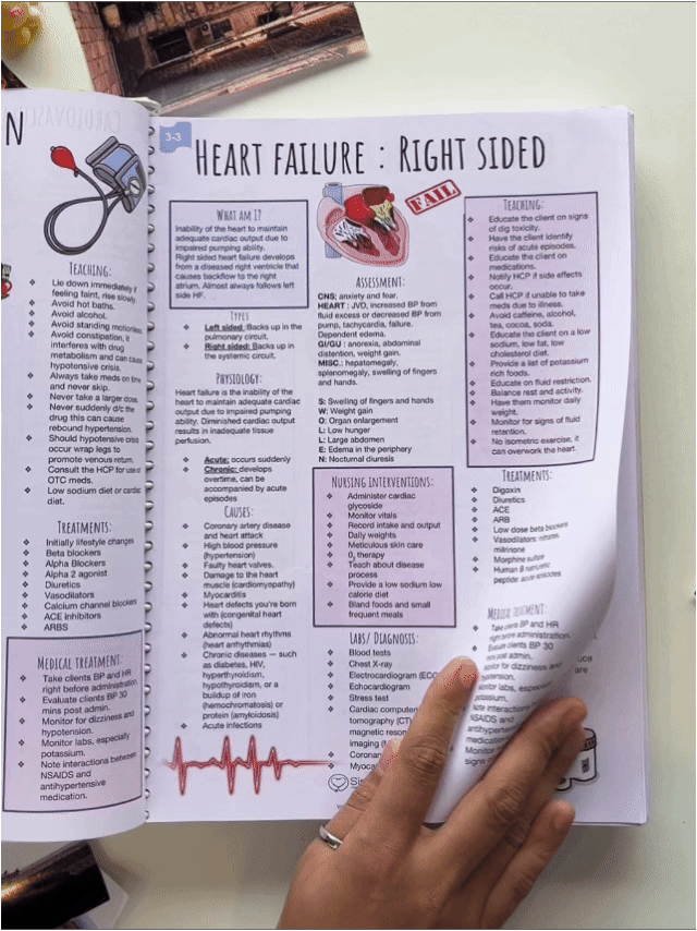 NCLEX Prep Notes